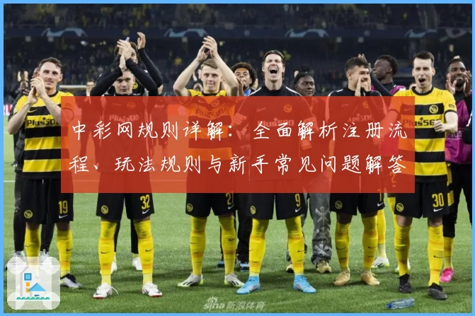 中彩网规则详解：全面解析注册流程、玩法规则与新手常见问题解答