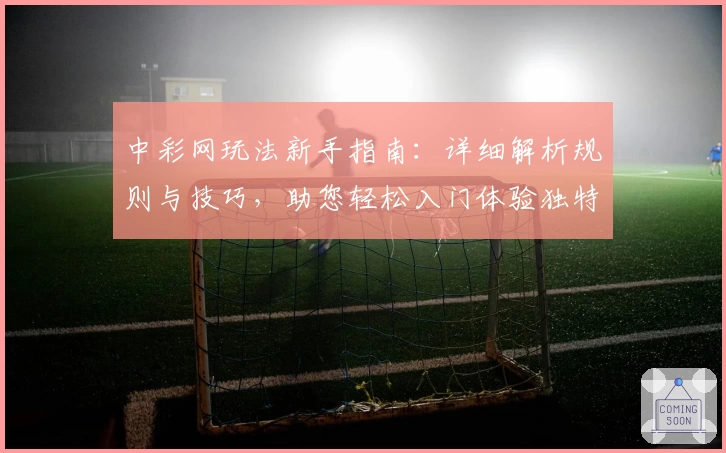 中彩网玩法新手指南：详细解析规则与技巧，助您轻松入门体验独特乐趣