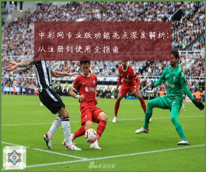 中彩网专业版功能亮点深度解析：从注册到使用全指南