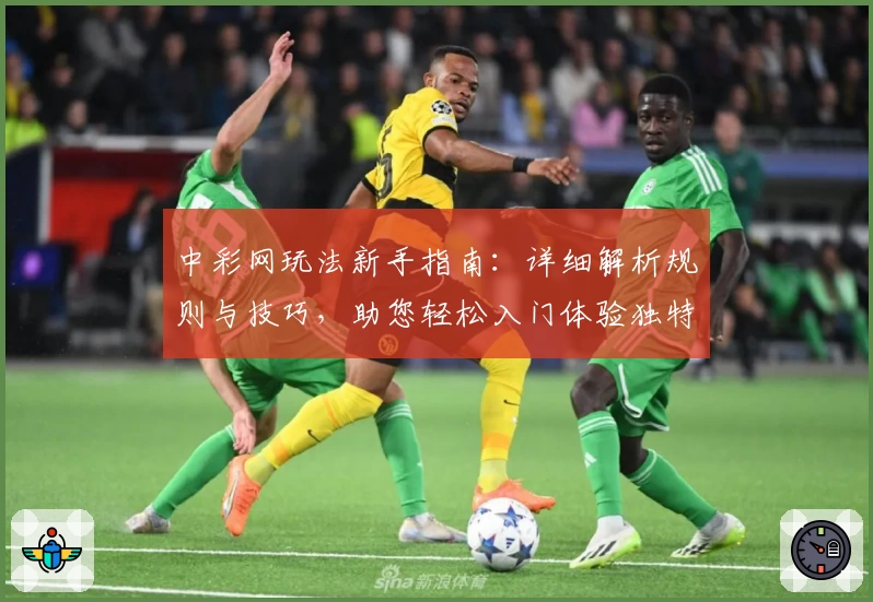 中彩网玩法新手指南：详细解析规则与技巧，助您轻松入门体验独特乐趣