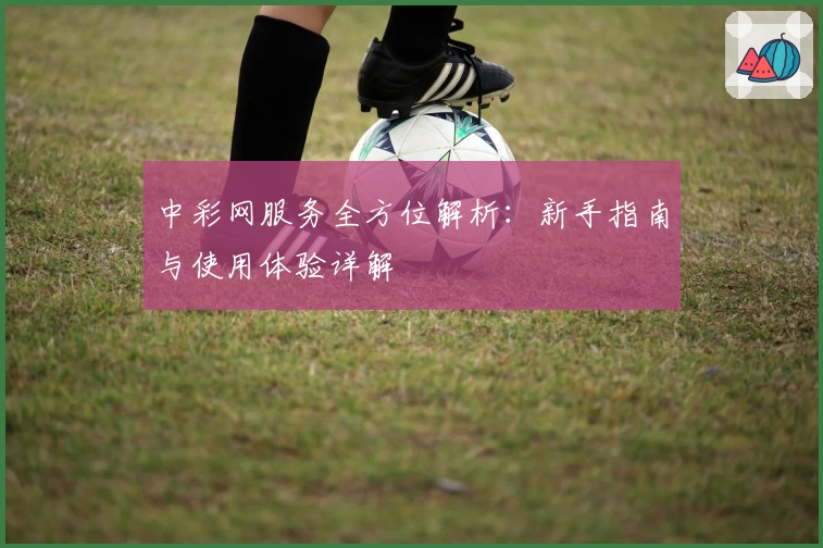 中彩网服务全方位解析:新手指南与使用体验详解