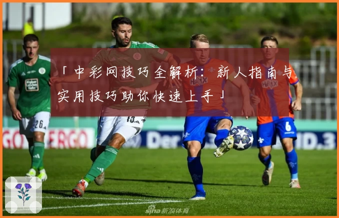 「中彩网技巧全解析：新人指南与实用技巧助你快速上手」
