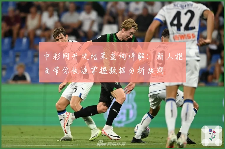 中彩网开奖结果查询详解：新人指南带你快速掌握数据分析诀窍