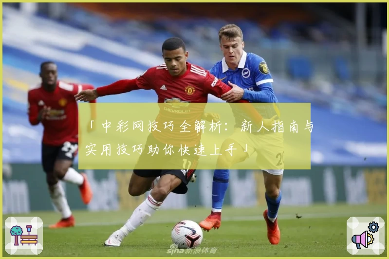 「中彩网技巧全解析：新人指南与实用技巧助你快速上手」